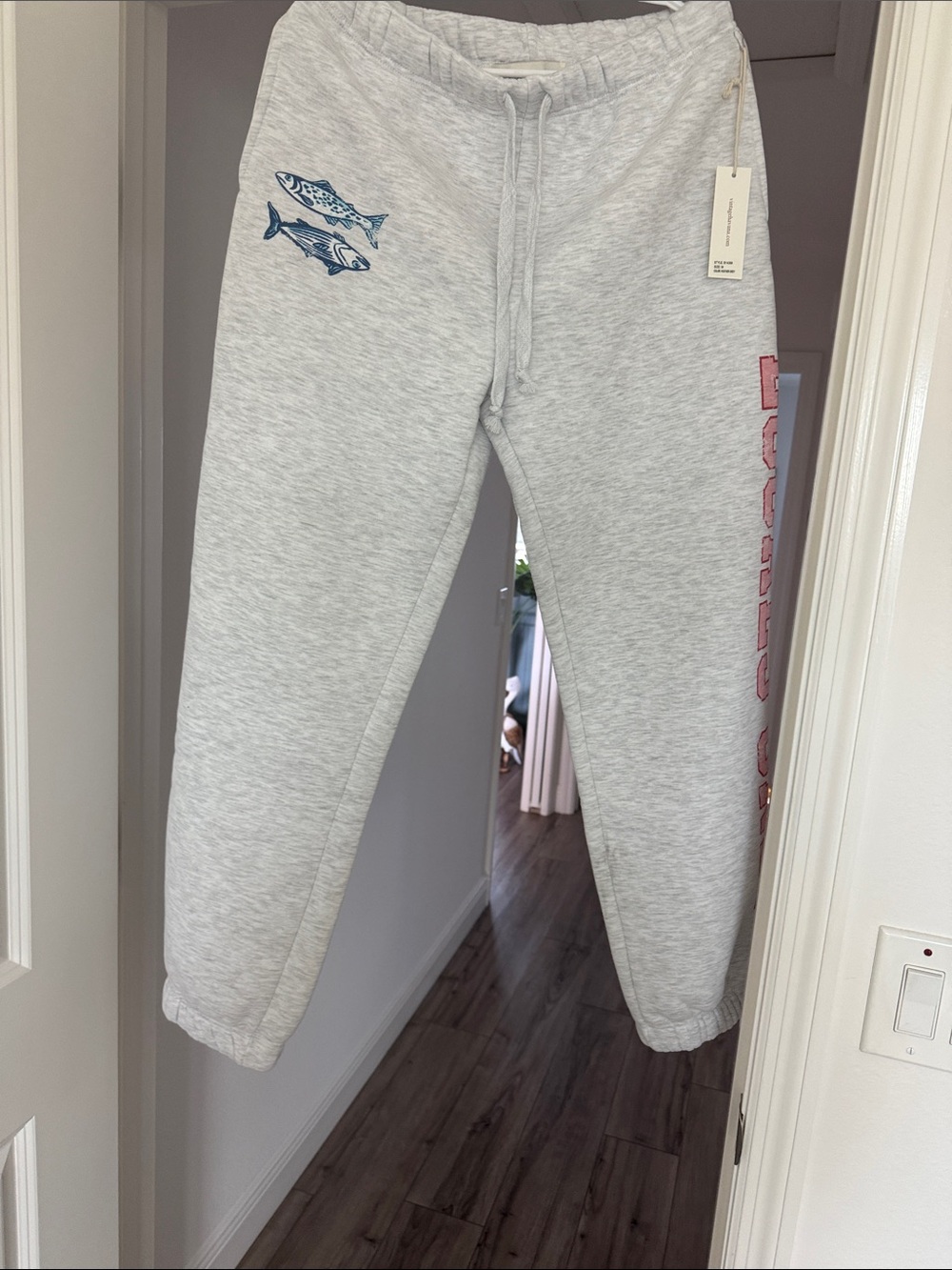 Adult Medium Light Gray Graphic Sweatpants and Sweatshirt